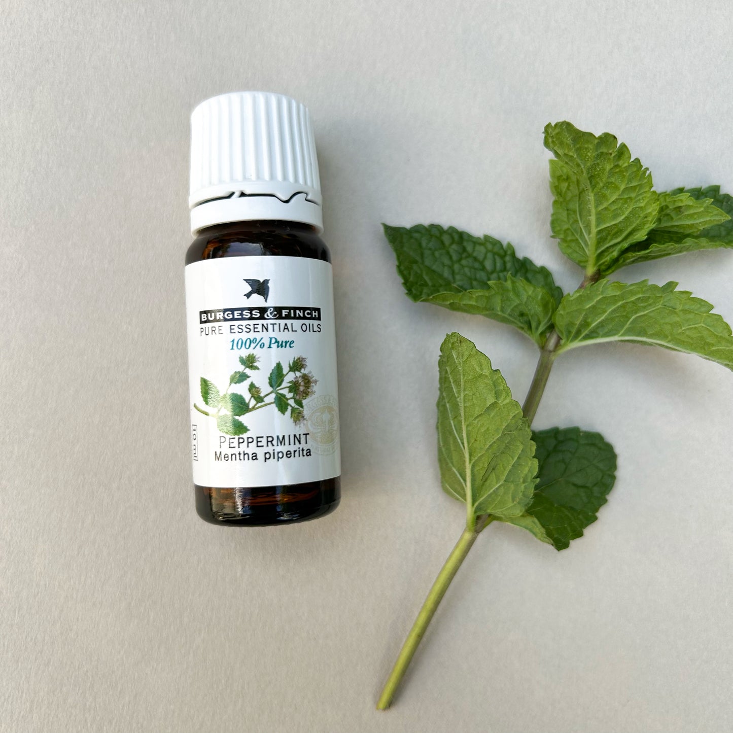 Peppermint Oil 10ml