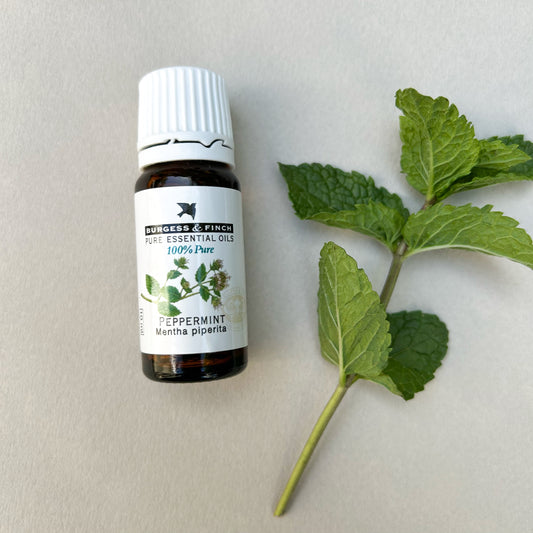 Peppermint Oil 10ml