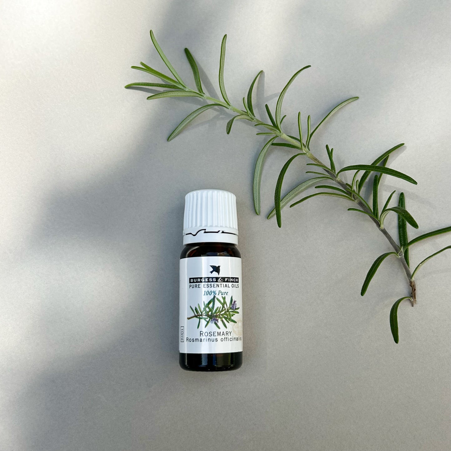 Rosemary Oil 10ml