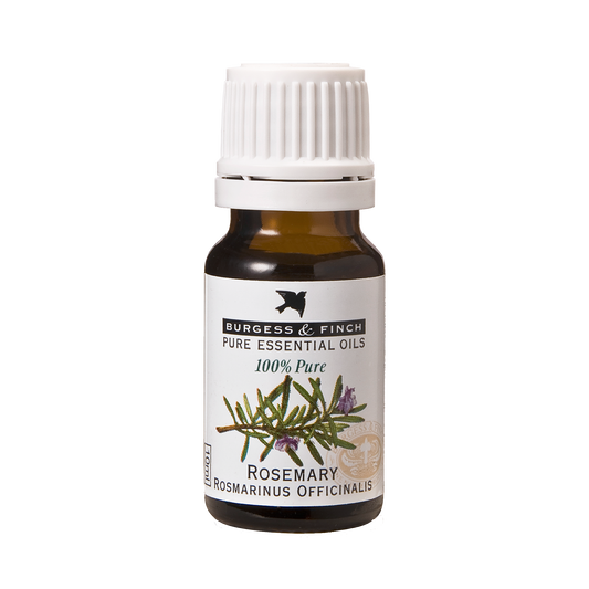 Rosemary Oil 10ml